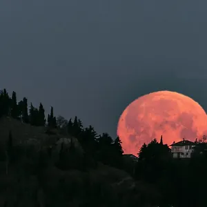 Corte Ca' Bosco , Castello di Serravalle Italia